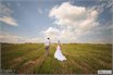 жених, невеста, прогулка, поле, свадьба