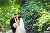 жених и невеста целуются в парке