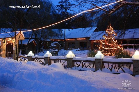 Întâlnim Anul Nou la restaurantul "Safari"