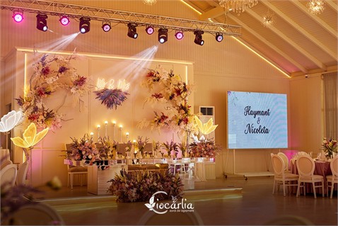 Nunta la Ciocârlia — când ziua voastră devine cu adevărat specială