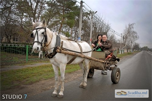 Un cuplu tanar într-o caruţa cu un cal