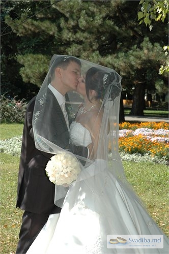 Sweet kiss