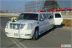 Cadillac Escalade 2008