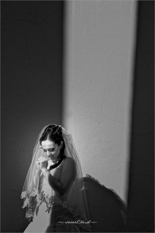Новые фото от www.sweet.md