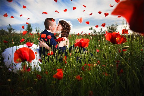 Comandati nunta pina la sfirsitul lunii iunie si obineti o Love-story gratis de la studioul "Goobeen.com"